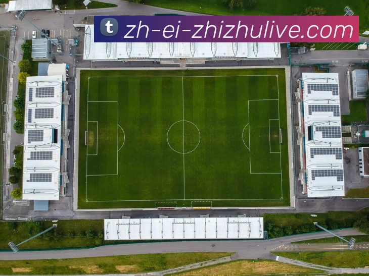 蜘蛛直播服务体系